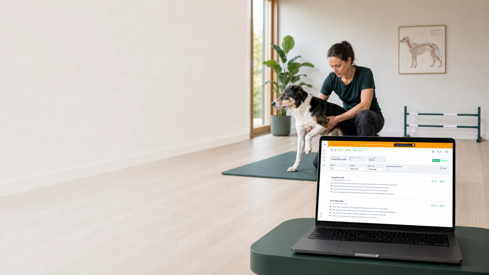 PawNote-journal på en laptop foran en hundeterapeut, der undersøger en hund på en behandlingsmåtte